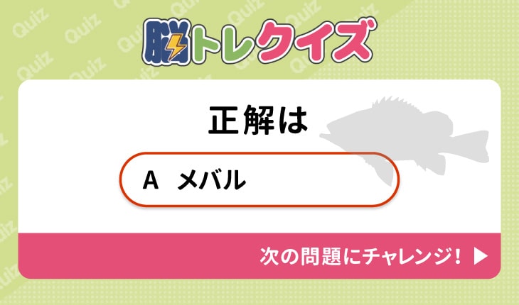 例題1答え